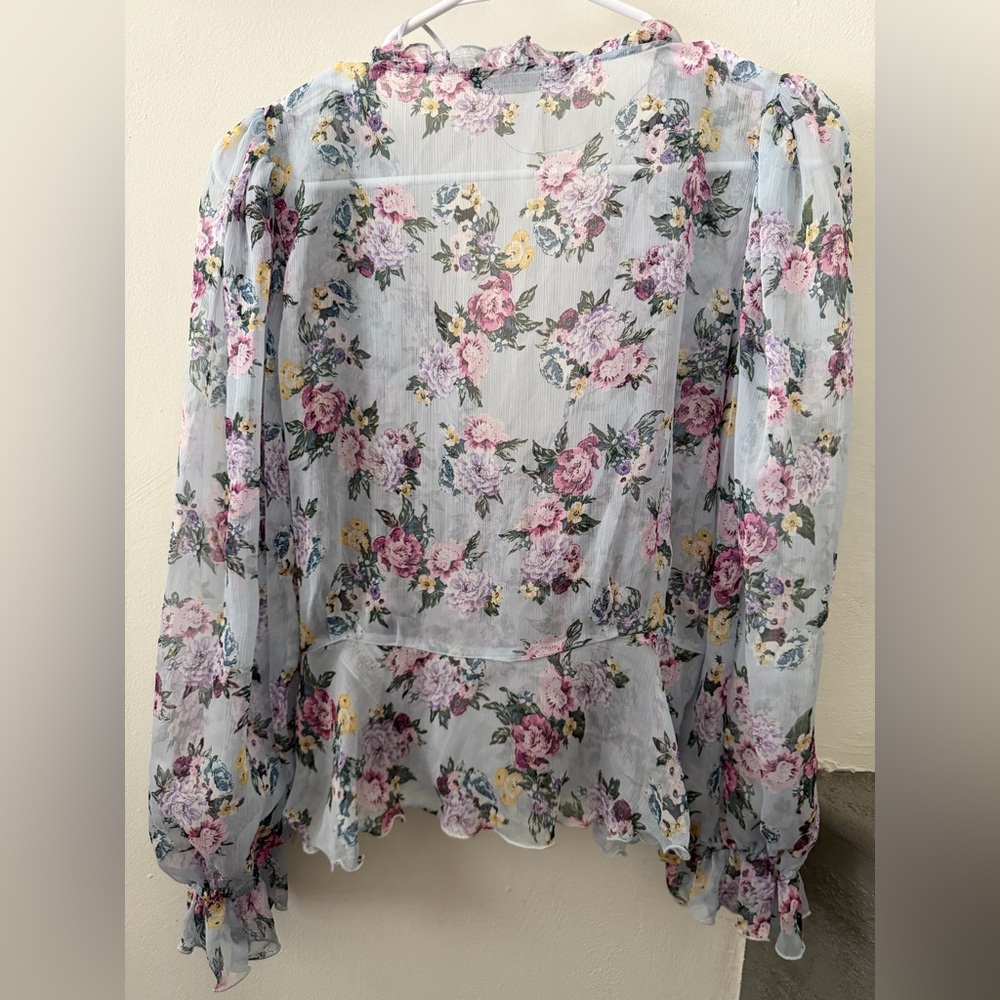 Zara Floral Ruffle Sheer Blouse - Picture 4 of 7